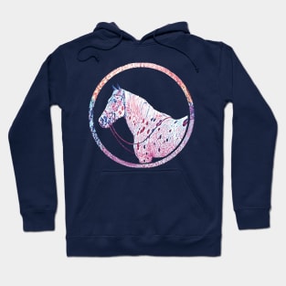 Painted Appaloosa Hoodie